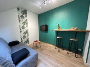Appartement au coeur d'Orléans et Bords de Loire